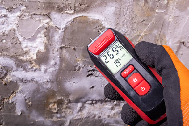 Best Bathroom Mold Remediation in Foley, MN