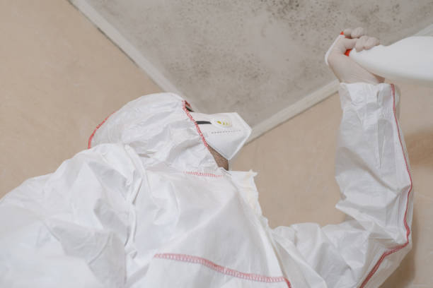 Best HVAC Mold Remediation in Foley, MN